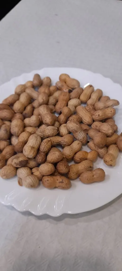 Menu_Trinquet de Pedreguer_Pedreguer_immagine_7