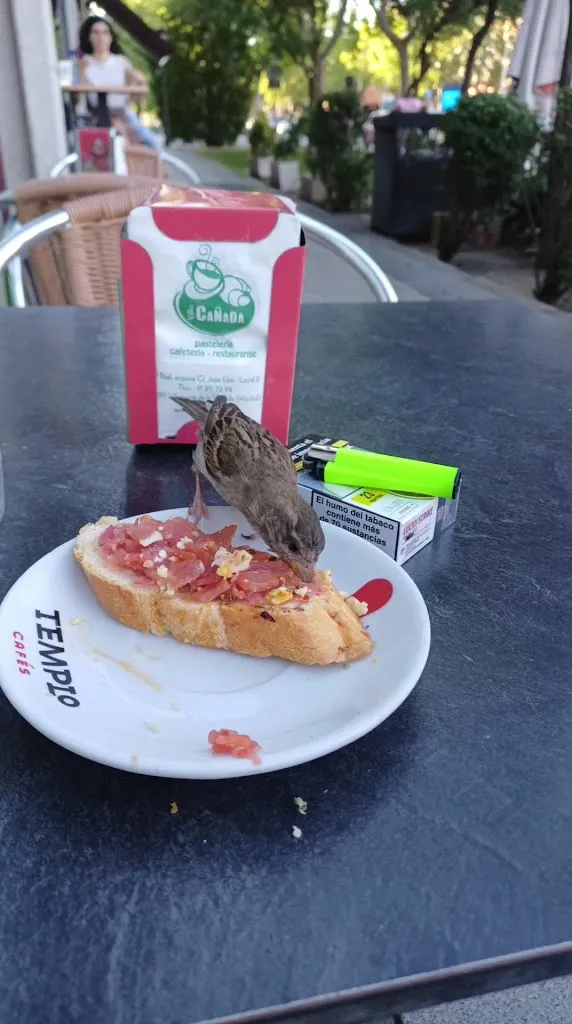 Villacañada_Villanueva de la Cañada_slider_image_2