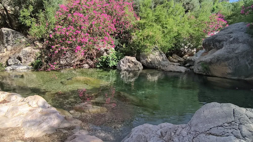 Restaurante Gerardo_Alfarnatejo_slider_image_2