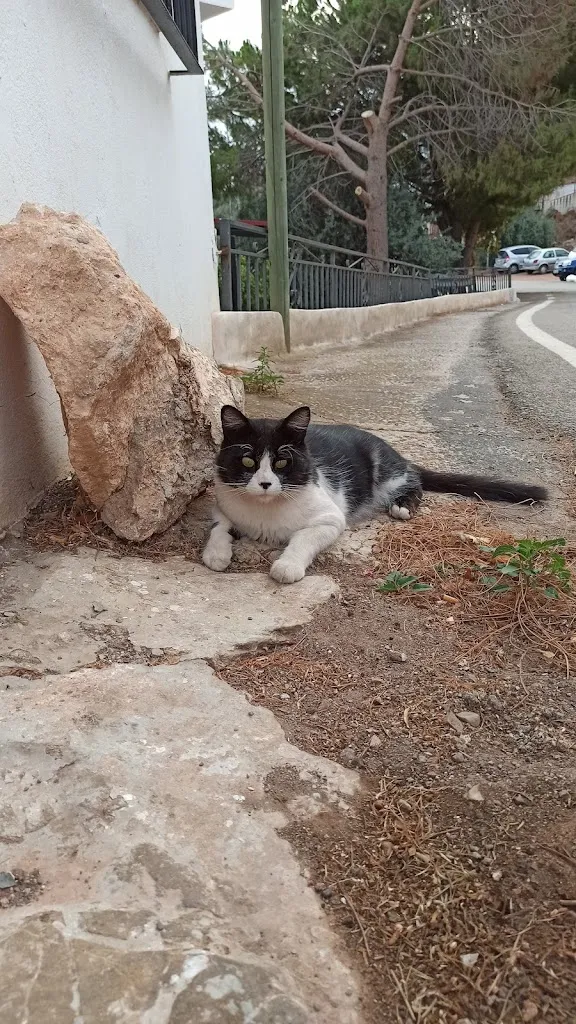 Lurdes Segura Sánchez_Table Mountain Comares_Almáchar_review