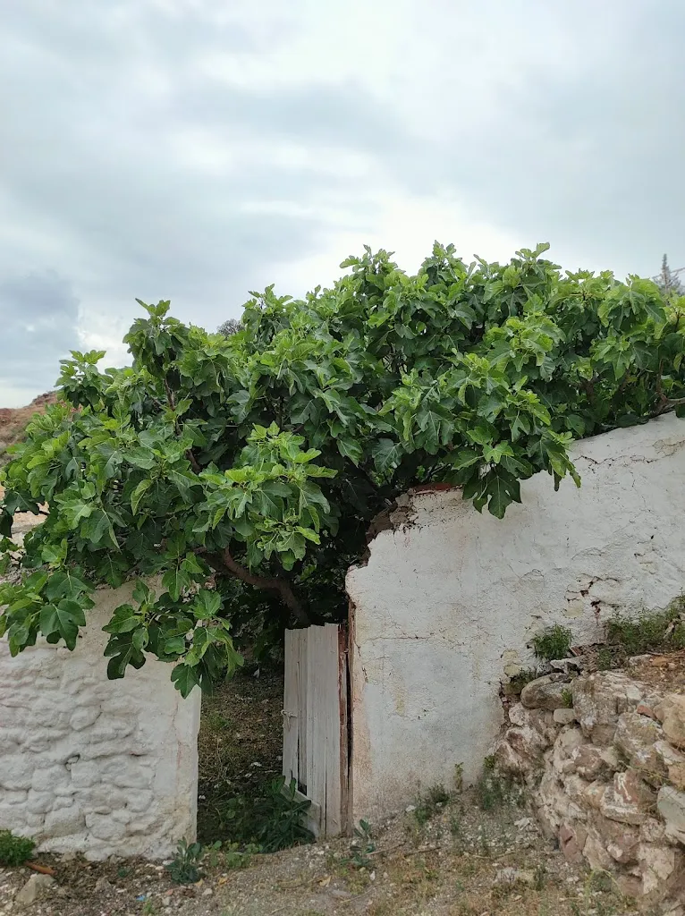 Isabel Morales_Mesón Bar Balalla_Almogía_recensione