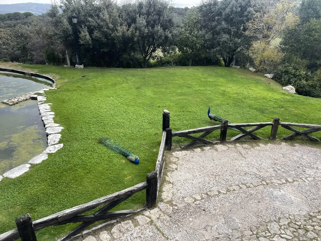 Jenny Choi_Los Pilares De Ronda_Alpandeire_recensione