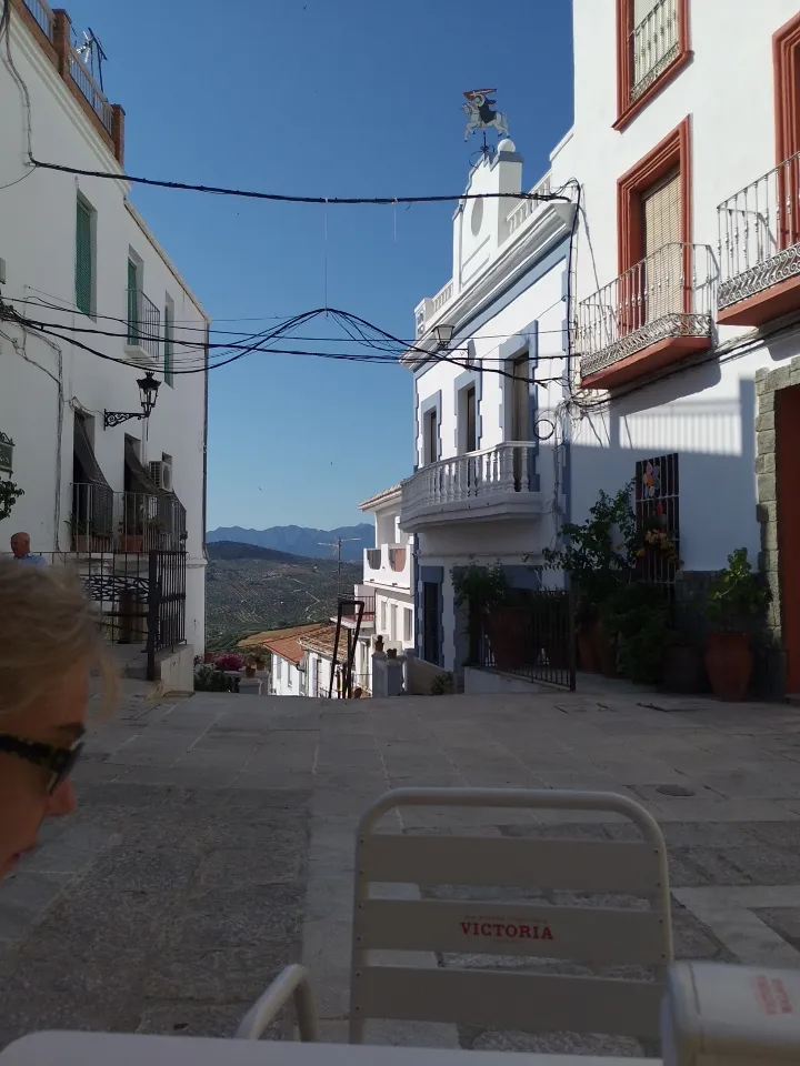 Carol Coxon_Milonga Argentinian Steak House_Alozaina_review