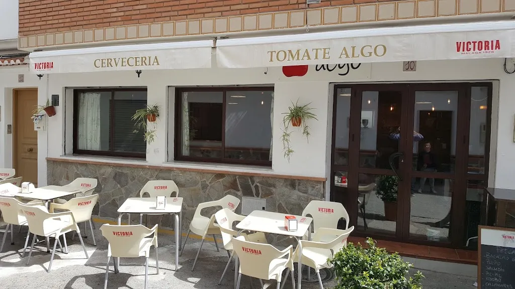 Tomate Algo_Alozaina_slider_image_1