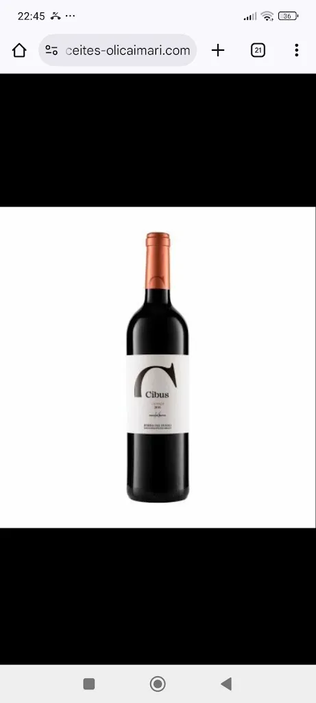 Steven Rooney_Restaurante ALTERNATIVA2.0_Ardales_review