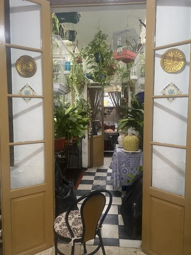 naila com_Casa Pepa_Ardales_review