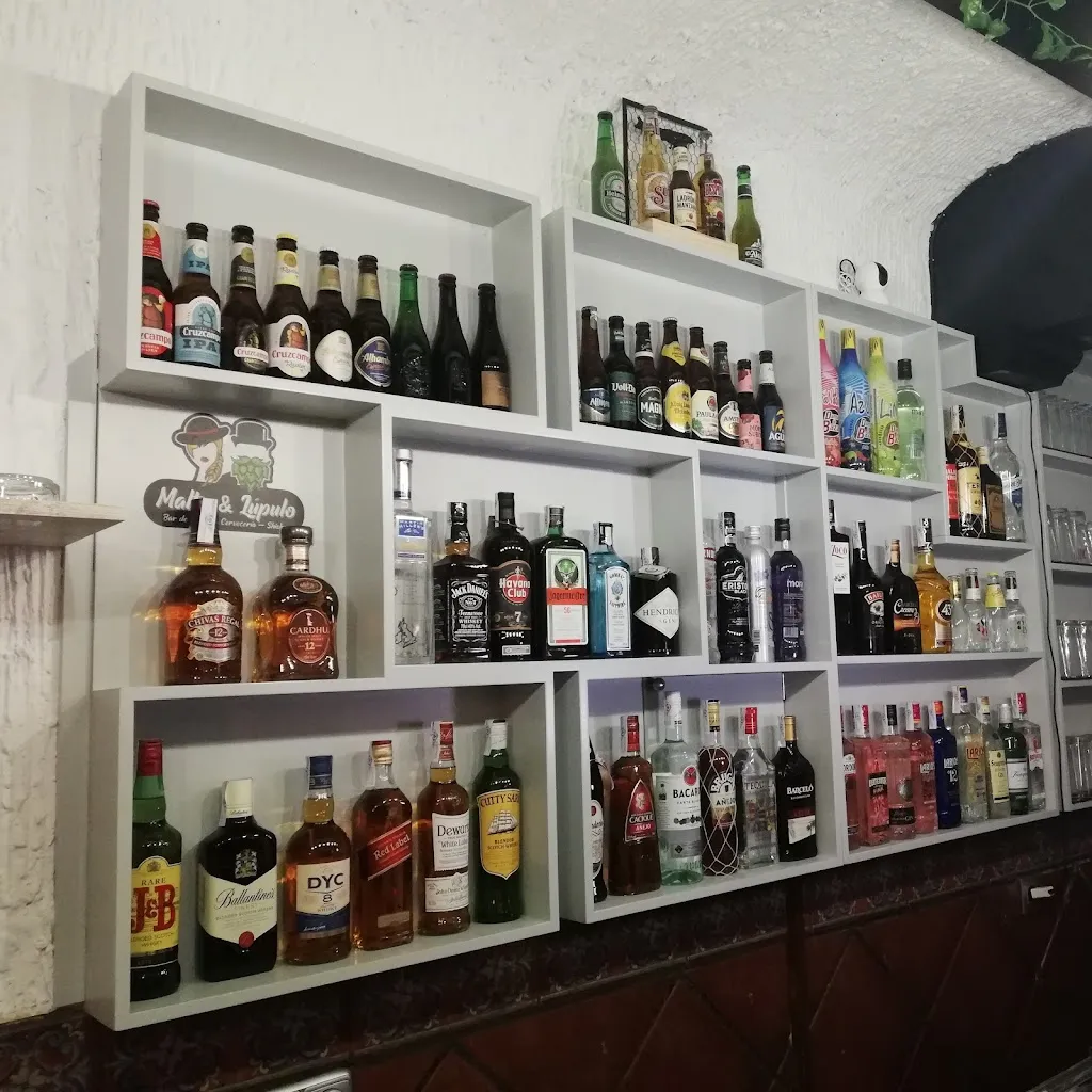 Malta & Lúpulo_Archidona_slider_image_3