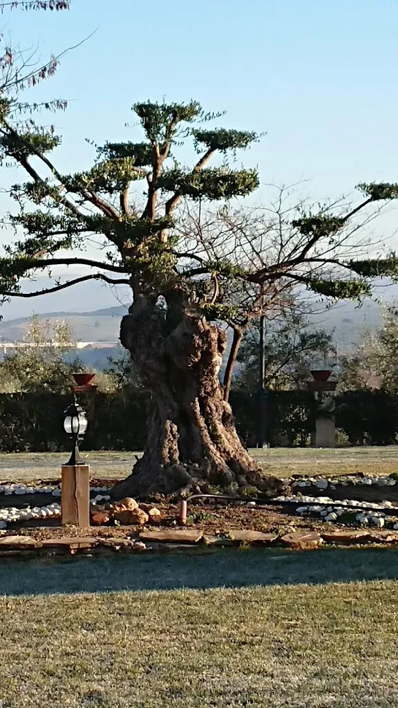 fiona rhodes_Hacienda Mendoza_Archidona_review