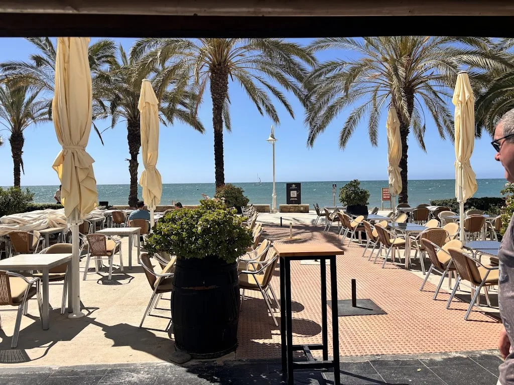 Charlotte Mather Brach_Restaurante Pippo_Algarrobo_review