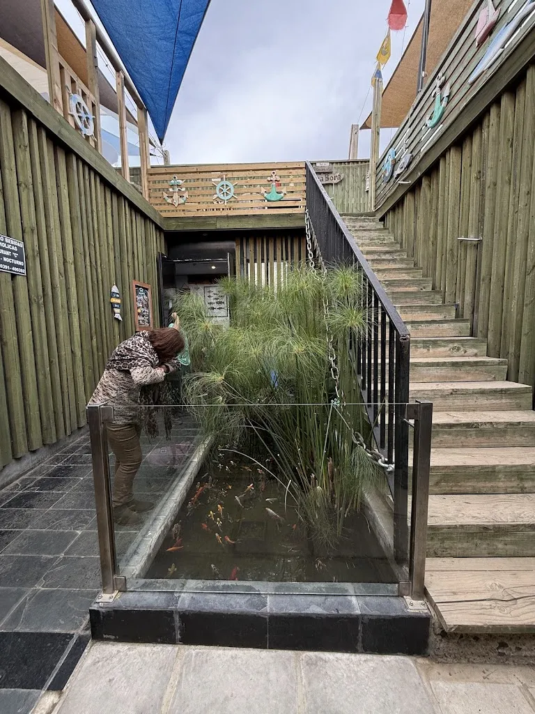 Camilo Arnoldo Rojas Cifuentes_Restaurant Bora Bora_Algarrobo_review