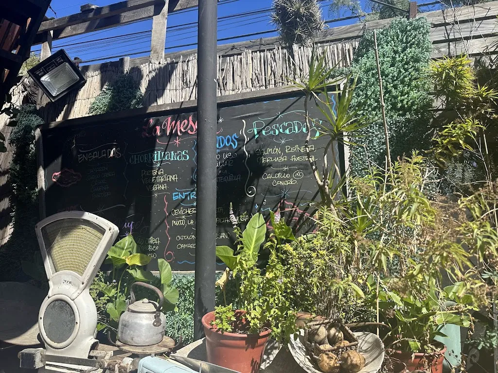 Nicole Olmedo_La Meson_Algarrobo_review