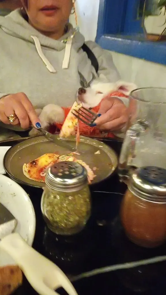 La Pizzería Algarrobo_Algarrobo_slider_image_2