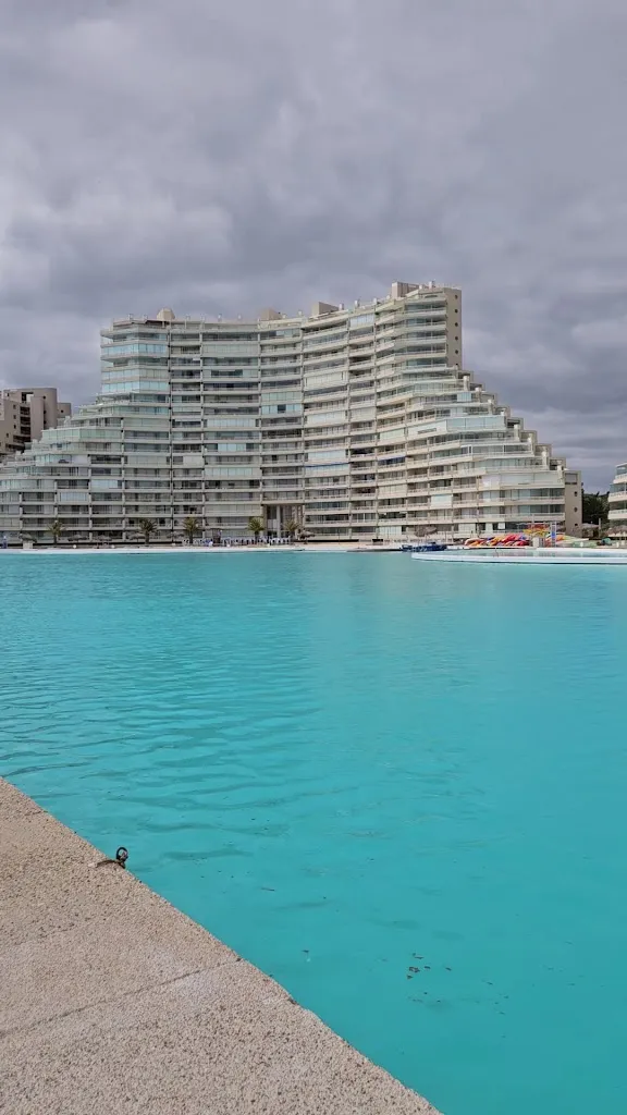 Celina Souza_Peces Gordos_Algarrobo_review