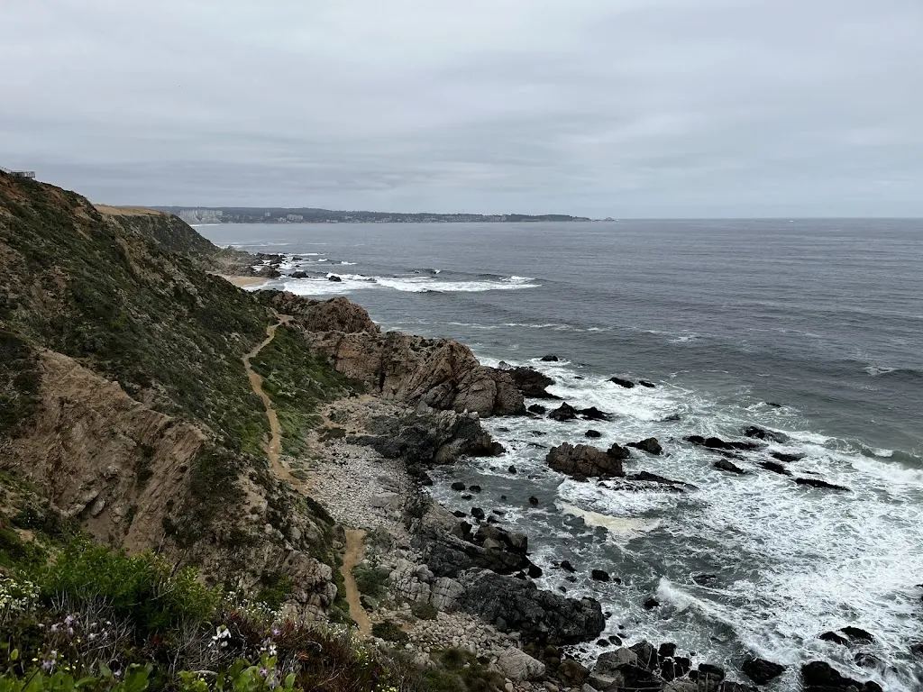 Tereza Andrijko_Restaurante A Toda Costa_Algarrobo_review