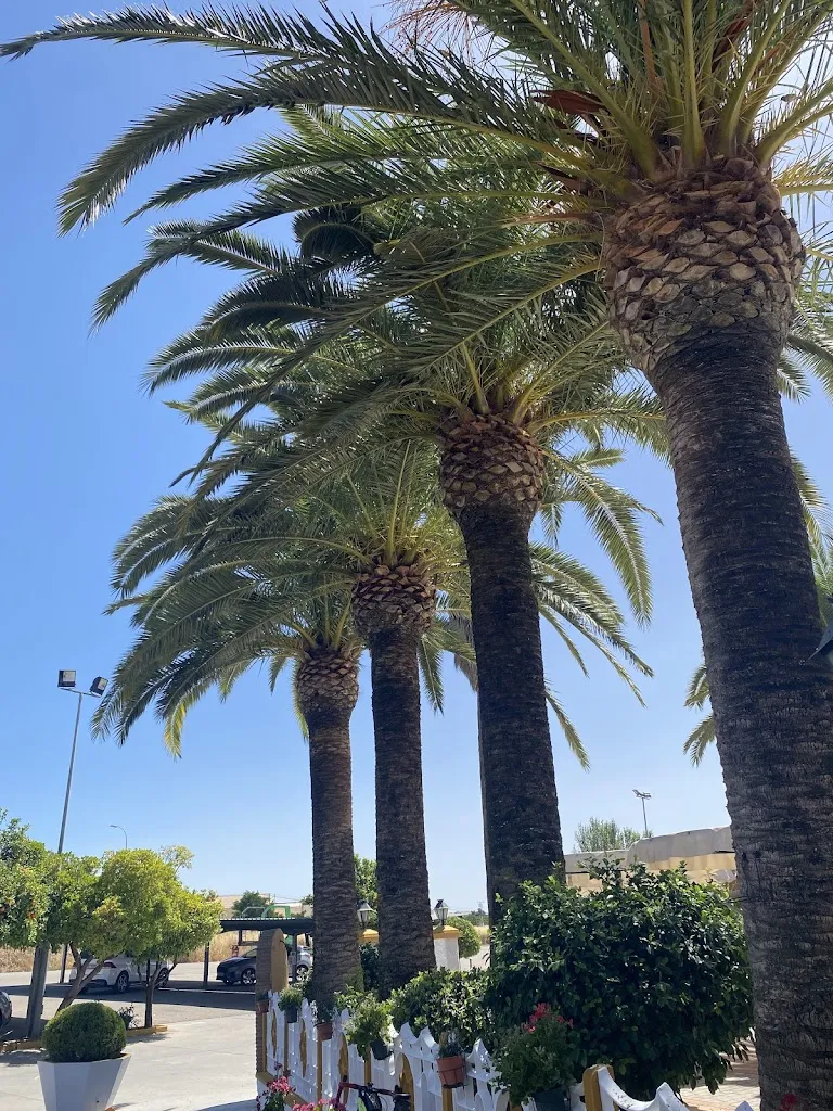 Alex Jamieson_Hotel Mesón Los Chopos_Campillos_review