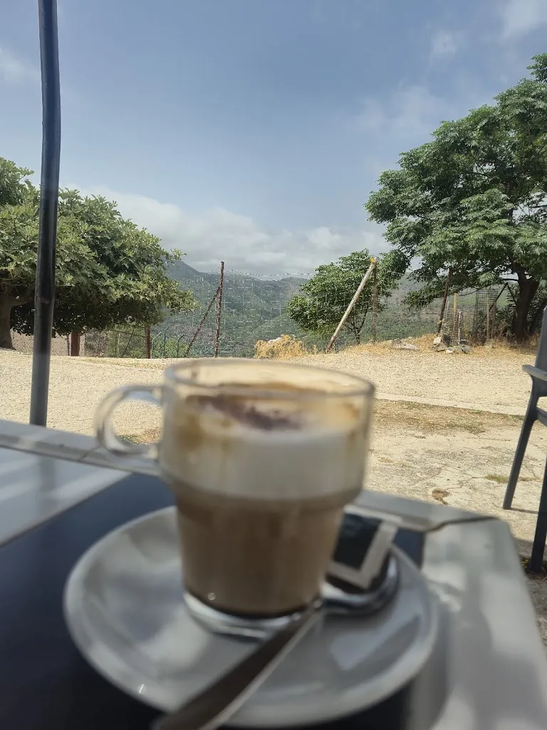 Nicola Connaughton_Sale El Madroño_Benahavís_review