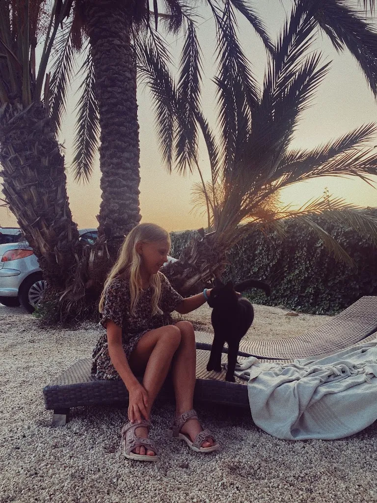 Mille Eltzholtz_Restaurante ZINC_Mutxamel_review