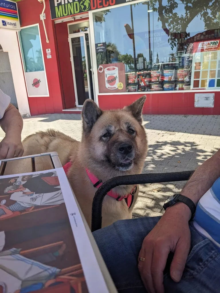 Paul Fenney_Soul Kitchen_Benalmádena_review