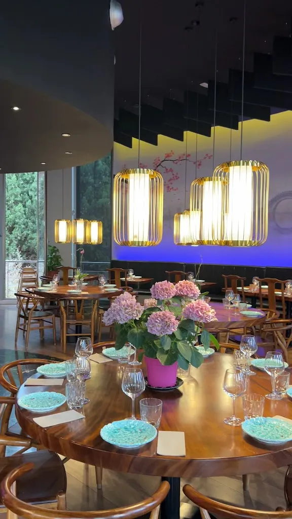 Elena Apanasenko_LiDu Garden_Mutxamel_recensione