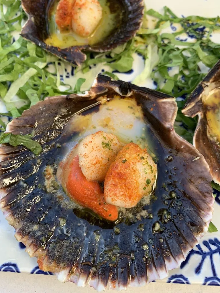 Yves Christiaens_El Puerto_Casabermeja_review