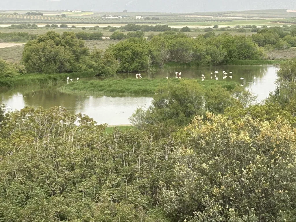 Neil Hollow_The Rec_Fuente de Piedra_review