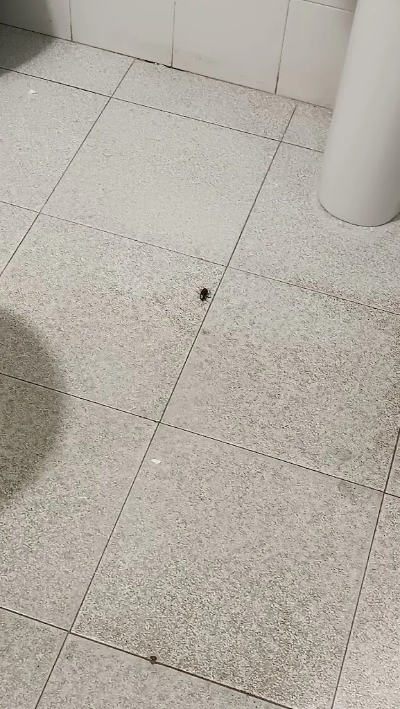 Lucía_Mesón Cervecería La Laguna_Fuente de Piedra_review