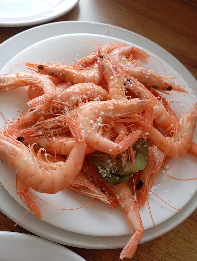 Reme Berrocal_Bar Taboada_Cártama_recensione