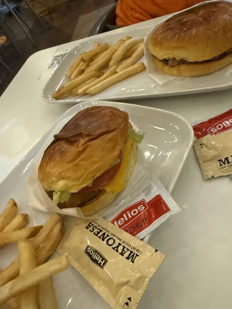 Bikk MekpuntNL_Indie 33_Mutxamel_review