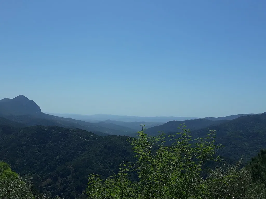 Elinor Suzanne Prickett_Pub Cabry_Genalguacil_review