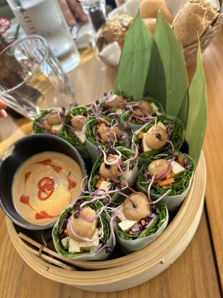 Sergej Pavlovec_Casa Wild_Estepona_review