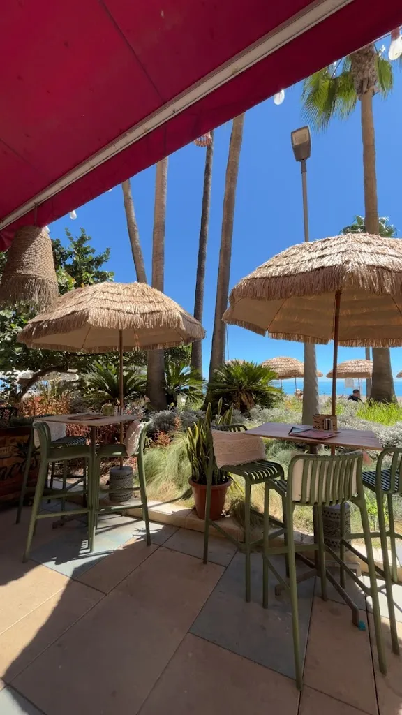 Ikigai Food for Life_Estepona_slider_image_3