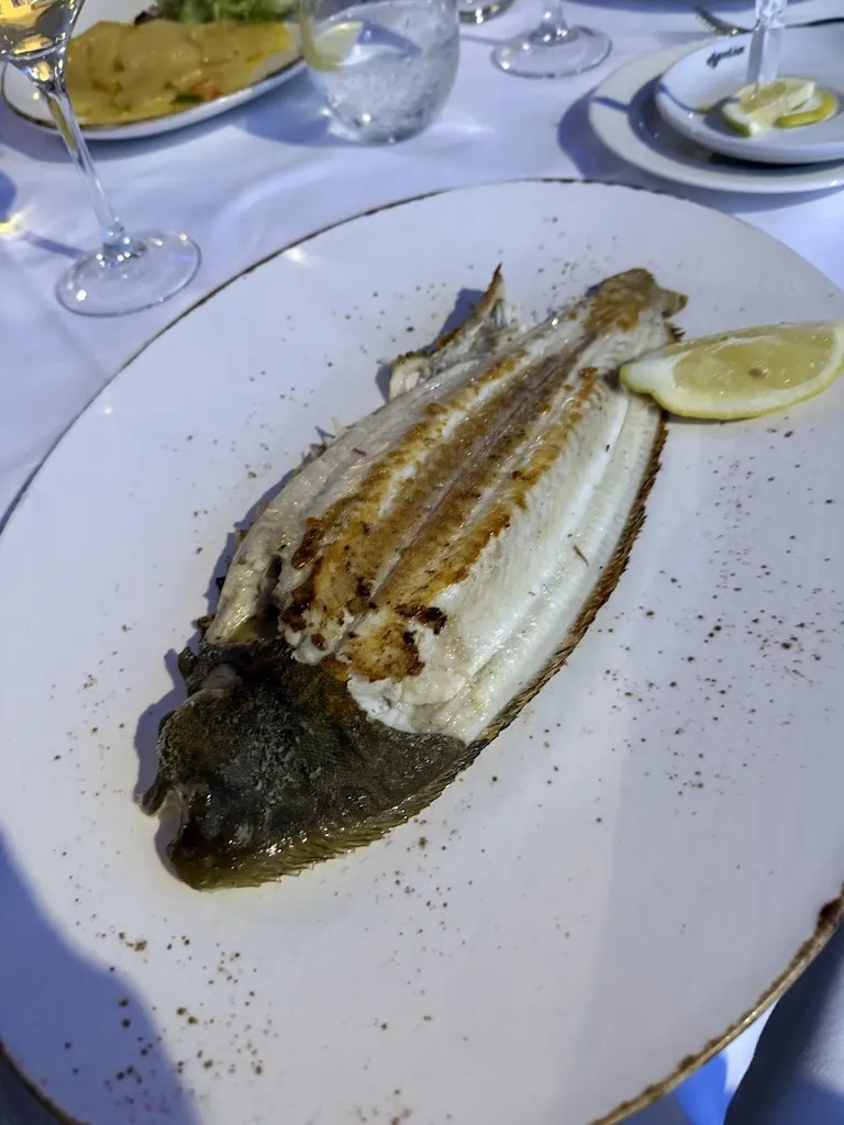 Jan Kees van Dommele_Restaurante El Pescador_Estepona_recensione