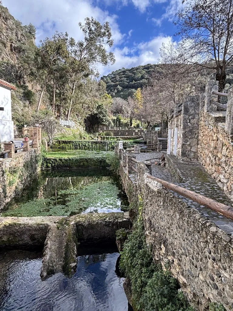 Teba Otero_Bar Restaurante El Nacimiento_Igualeja_recensione