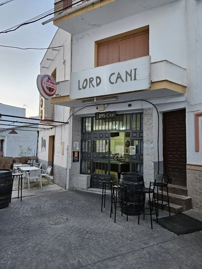 Bar - Lord Cani restaurant in Guaro