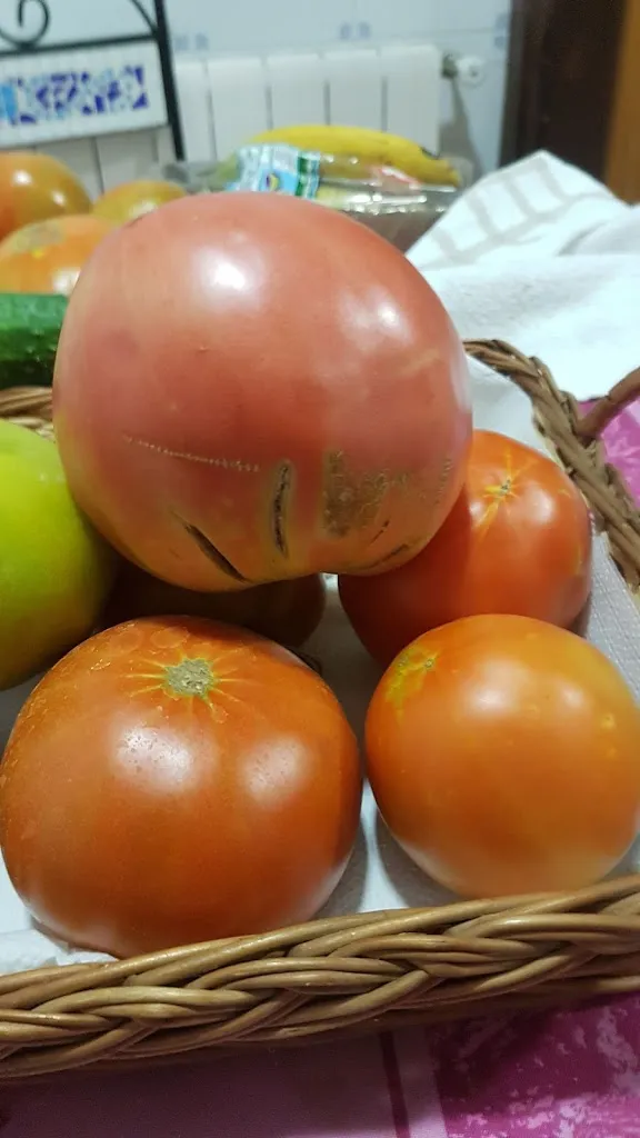 Menu_Bar Simón_Mutxamel_image_8