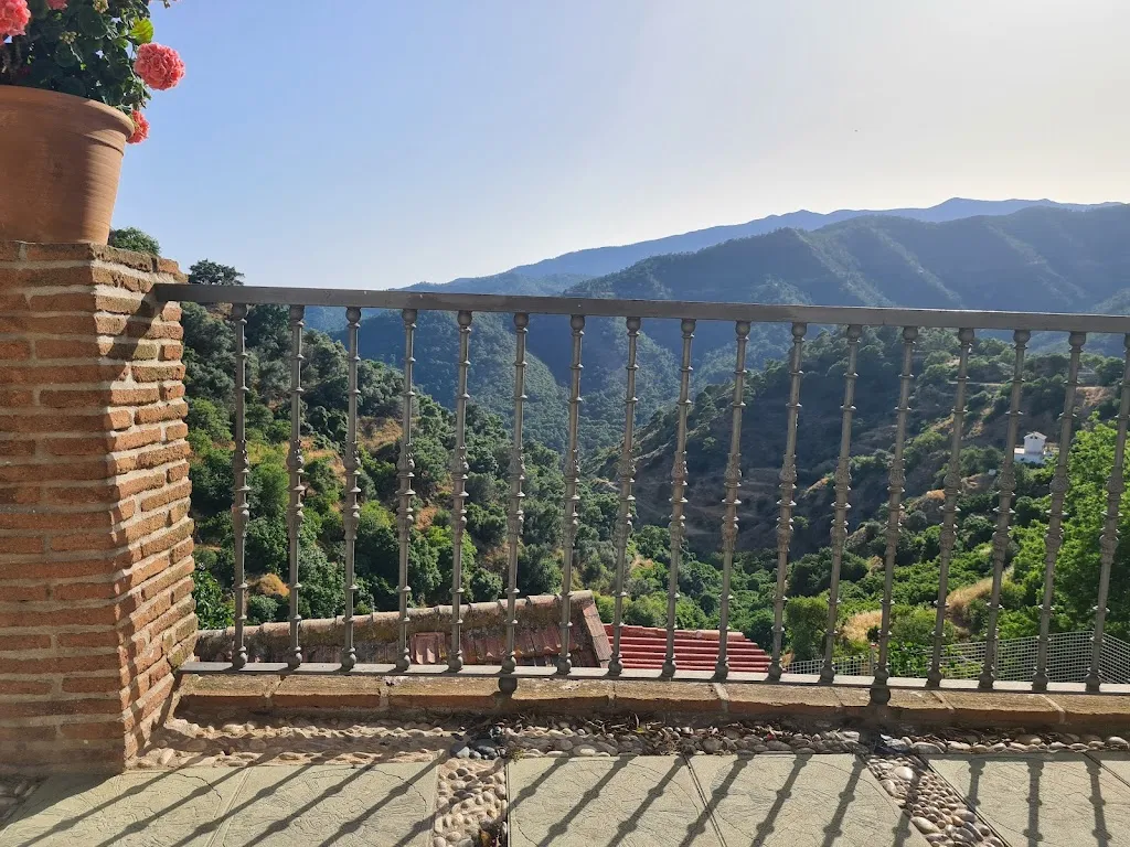 Darrin Fisher_Restaurante El Barón_Istán_review