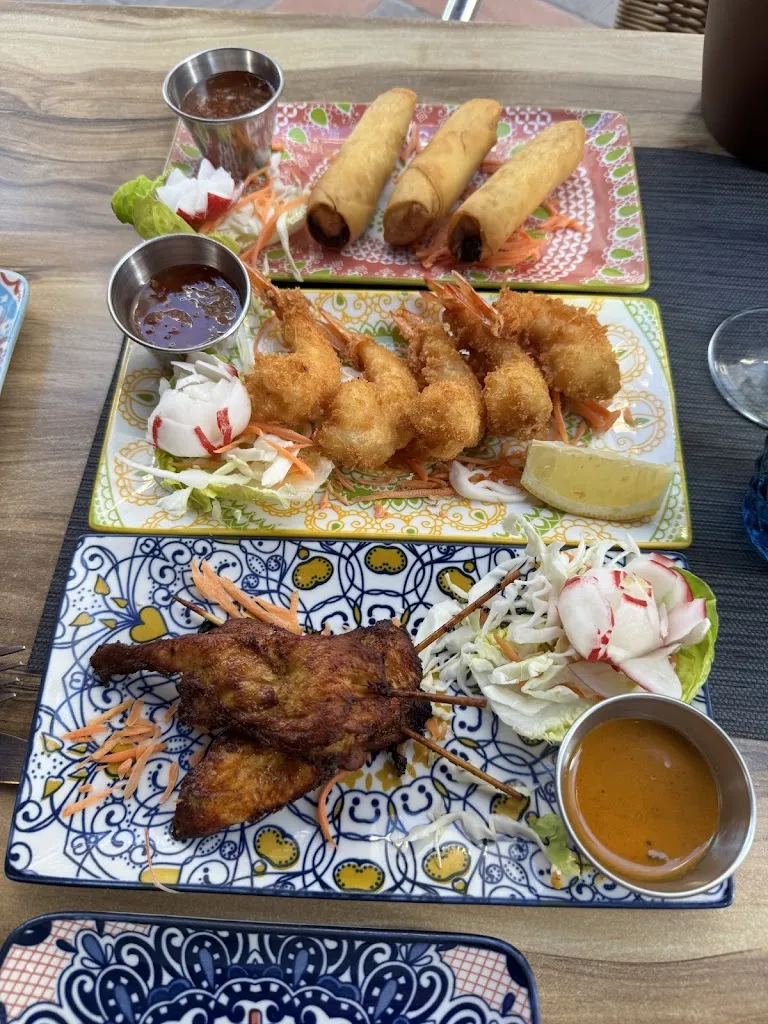 Wyn Roebuck_Authentic Thai Restaurant in Fuengirola - Tapa y Tai by My Thai_Fuengirola_review