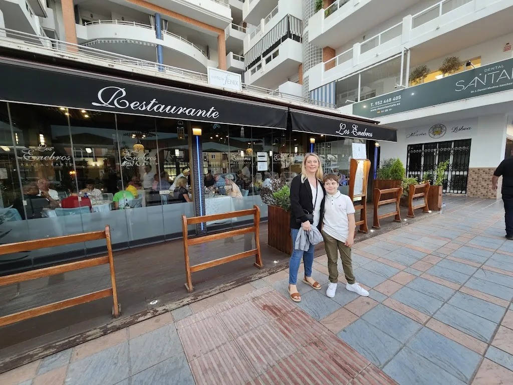 Sean Mayes_Los Enebros_Fuengirola_review