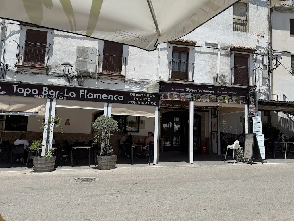 Bar La Flamenca_Jubrique_slider_image_3