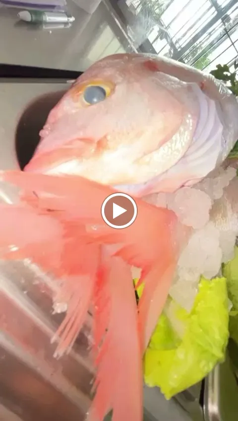 Café Bar Orihuela_Frigiliana_slider_image_2