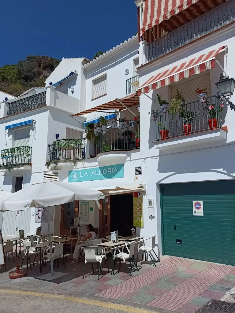 Bar Fandangos Frigiliana_Frigiliana_slider_image_3