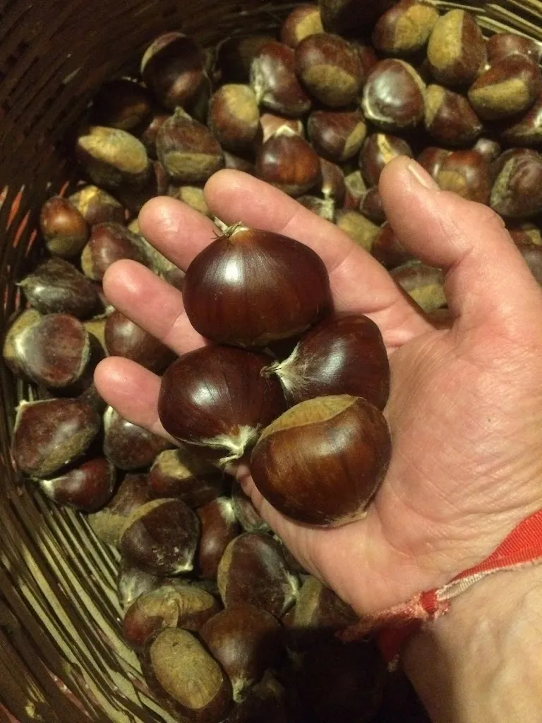 Menu_Bar El Casarón_Júzcar_image_6