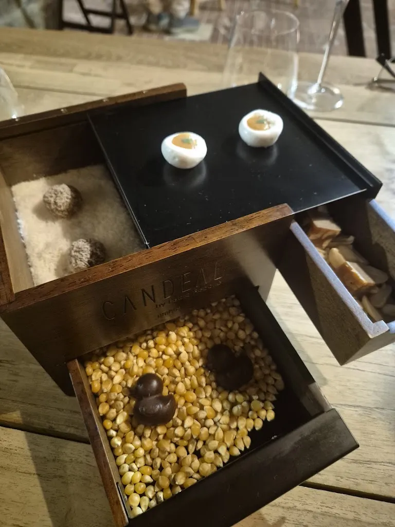 Heinz Robathin_Restaurante Candeal | Restaurante en Marbella_Marbella_review