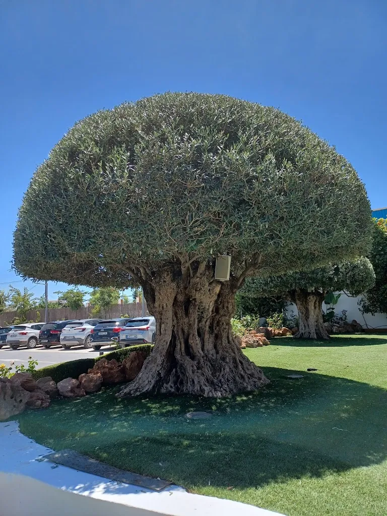 Yvonne Beven_Restaurante Cándida_Mollina_recensione