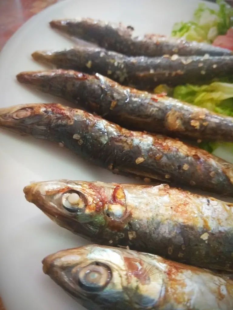 Menu_Peña Flamenca Alcazarin_Monda_image_8