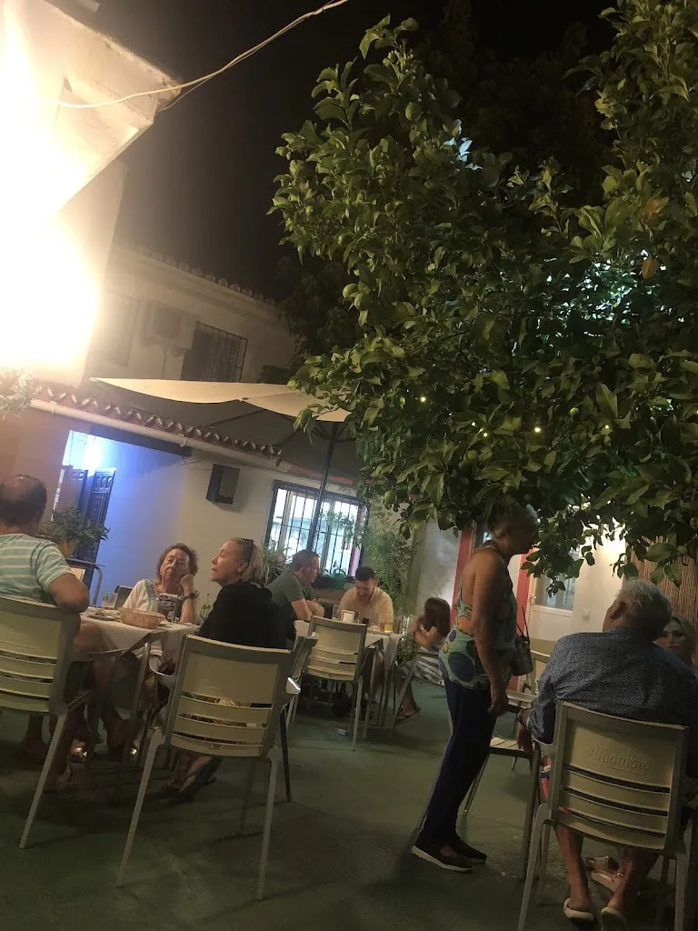 Philippe Withofs_Peña Flamenca Alcazarin_Monda_review