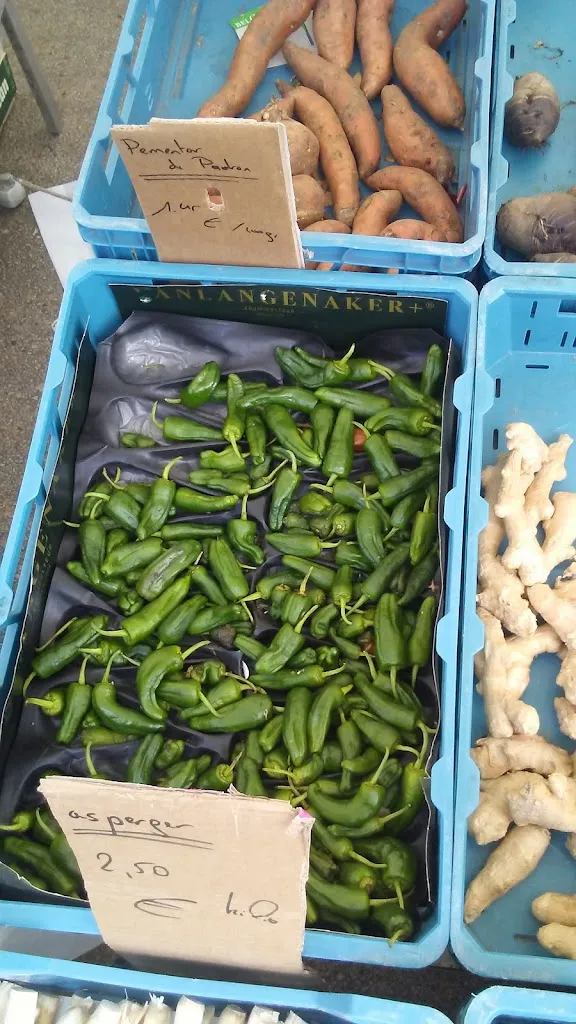 Menu_Cervecería Tecate_Boiro_image_1