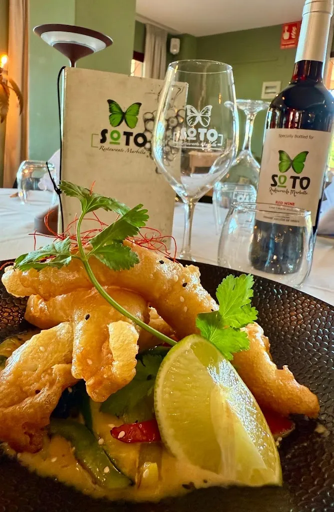 hana kressova_El Soto Restaurant_Ojén_review