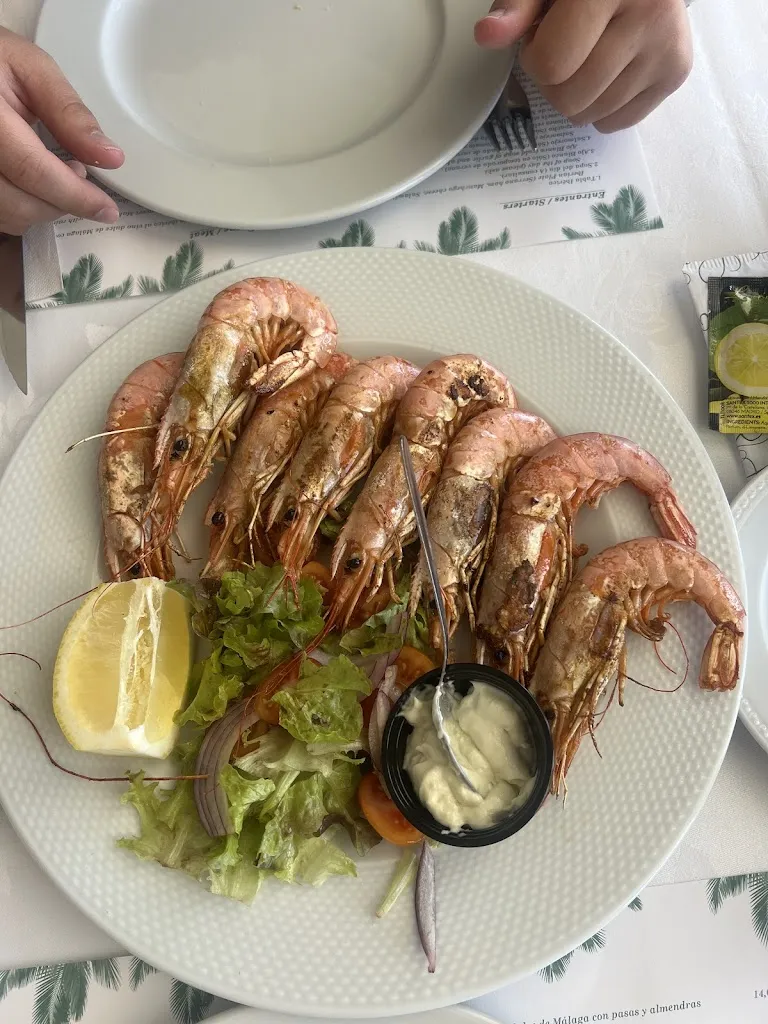 Kate Smith_FINCA OASIS LAS PALMERAS_Periana_review