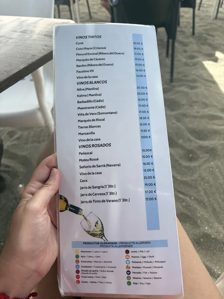 Menu_Chiringuito Las Gaviotas_Manilva_image_4